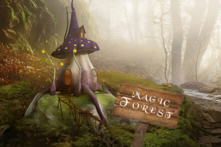 illustration 1 for escape room Magic Forest Воронеж