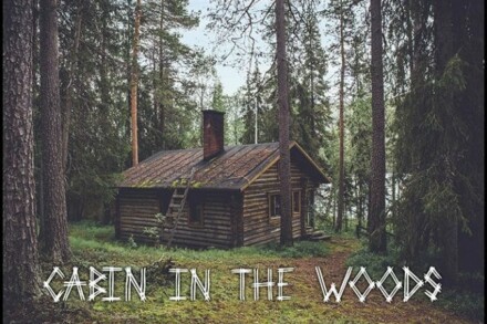 иллюстрация 1 для квеста (English) Cabin In The Woods Воронеж